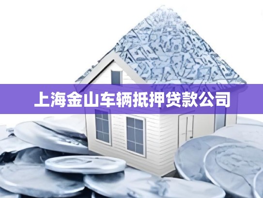 上海金山车辆抵押贷款公司