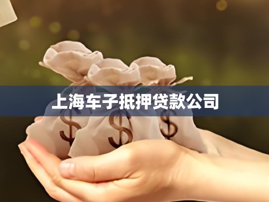 上海车子抵押贷款公司