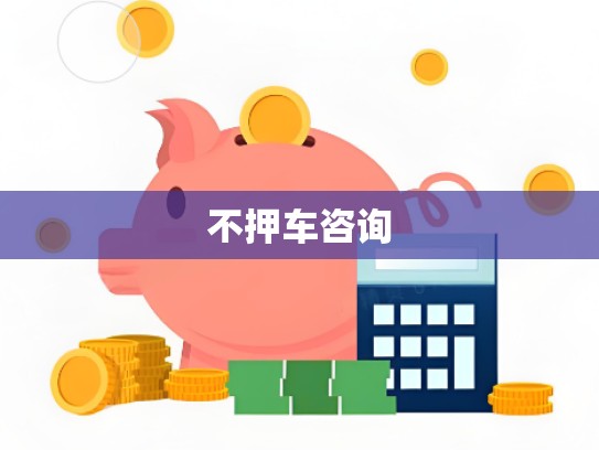 不押车咨询