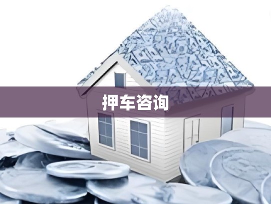 押车咨询