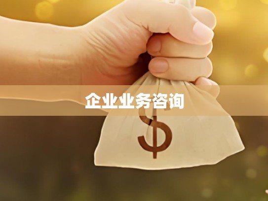 企业业务咨询