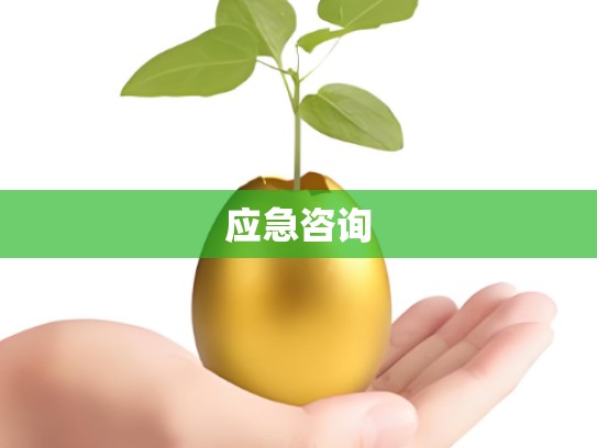 应急咨询