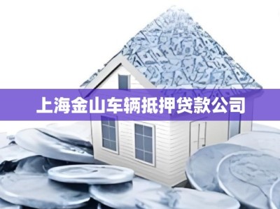 上海金山车辆抵押贷款公司