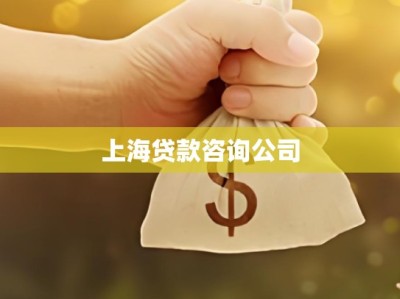 上海贷款咨询公司