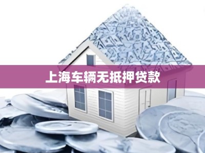 上海车辆无抵押贷款
