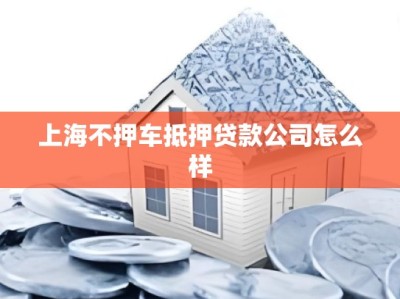 上海不押车抵押贷款公司怎么样