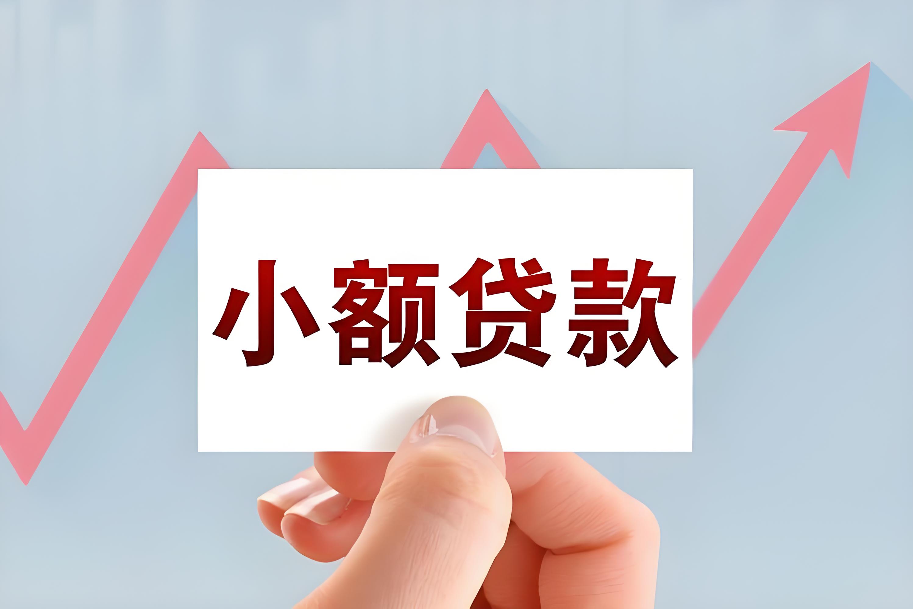 上海小额贷款